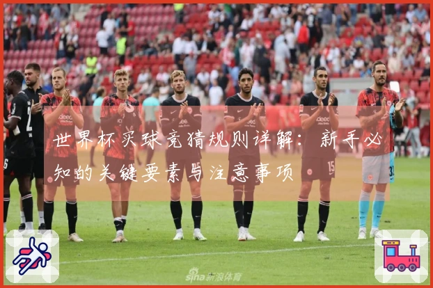 世界杯买球竞猜规则详解：新手必知的关键要素与注意事项