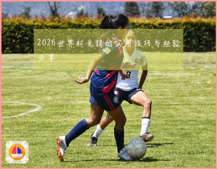 2026世界杯竞猜的实用技巧与经验分享