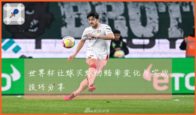 世界杯让球买球的赔率变化与实战技巧分享