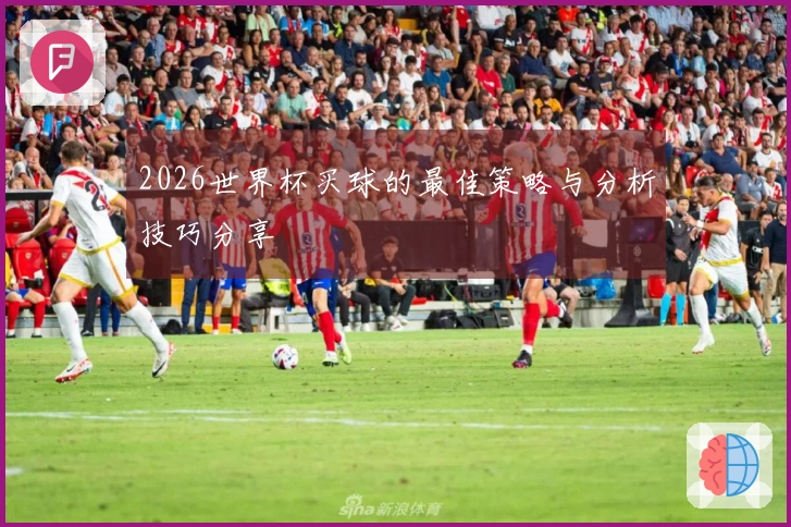 2026世界杯买球的最佳策略与分析技巧分享