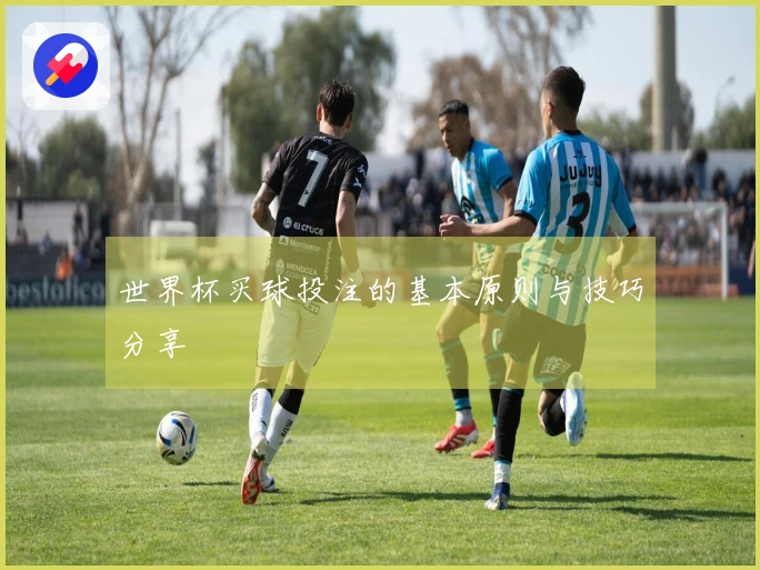 世界杯买球投注的基本原则与技巧分享