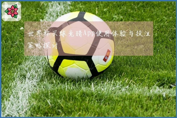 世界杯买球竞猜App使用体验与投注策略探讨
