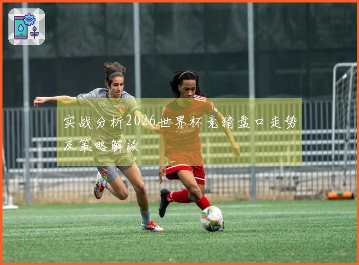 实战分析2026世界杯竞猜盘口走势及策略解读