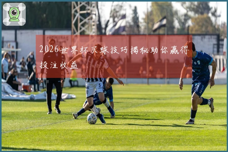 2026世界杯买球技巧揭秘助你赢得投注收益
