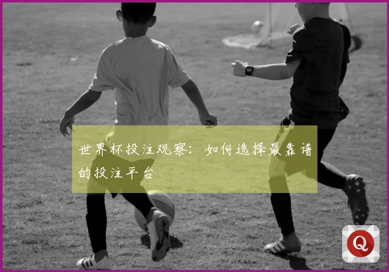 世界杯投注观察：如何选择最靠谱的投注平台
