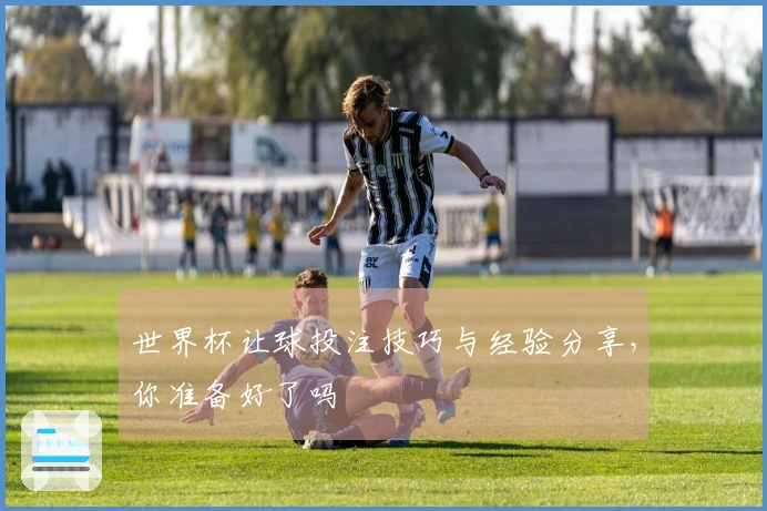 世界杯让球投注技巧与经验分享，你准备好了吗