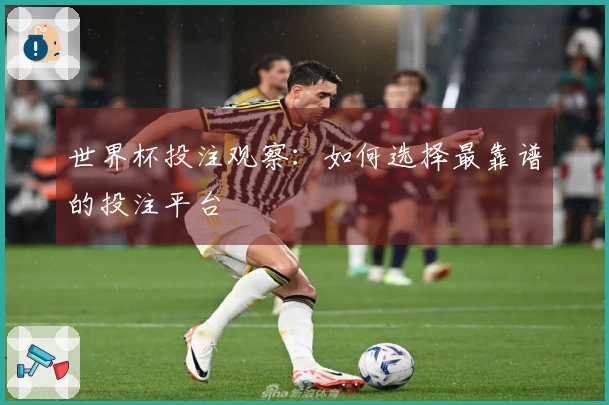 世界杯投注观察：如何选择最靠谱的投注平台