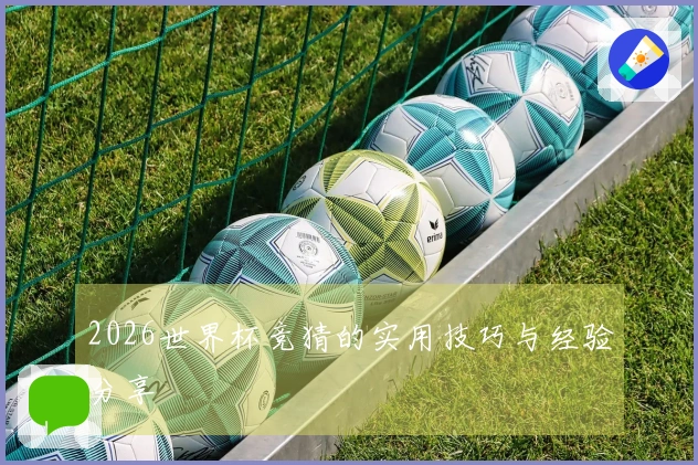 2026世界杯竞猜的实用技巧与经验分享