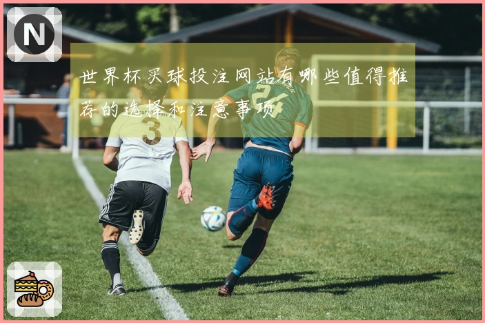 世界杯买球投注网站有哪些值得推荐的选择和注意事项