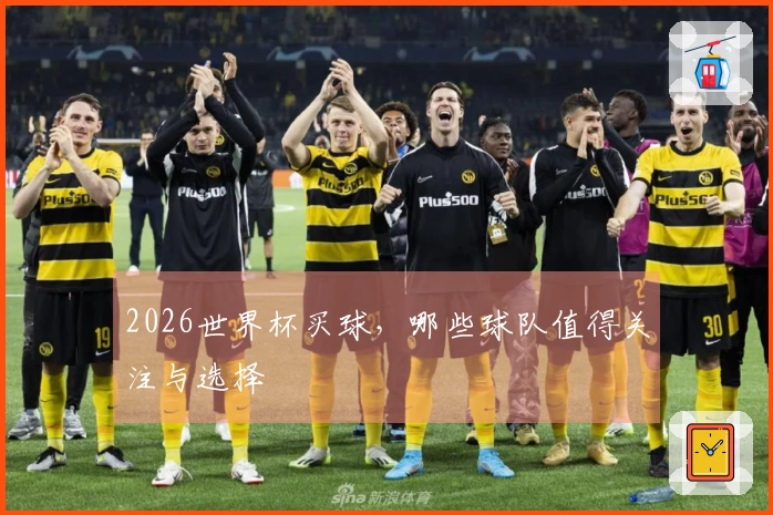 2026世界杯买球，哪些球队值得关注与选择