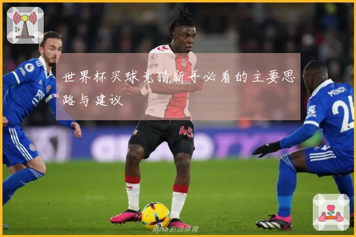 世界杯买球竞猜新手必看的主要思路与建议