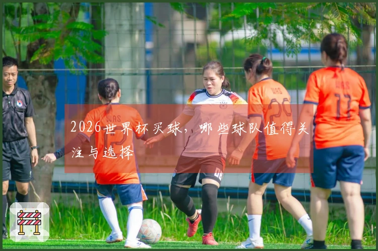 2026世界杯买球，哪些球队值得关注与选择