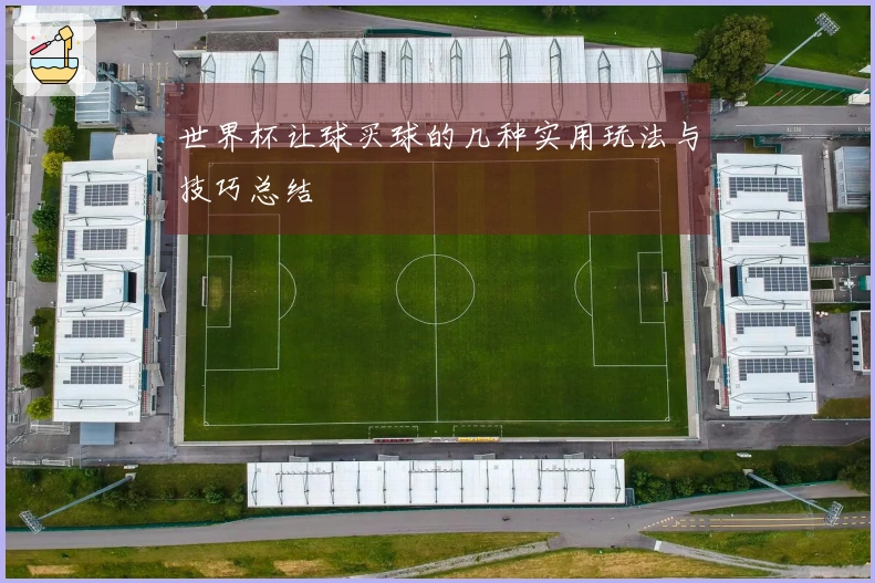 世界杯让球买球的几种实用玩法与技巧总结