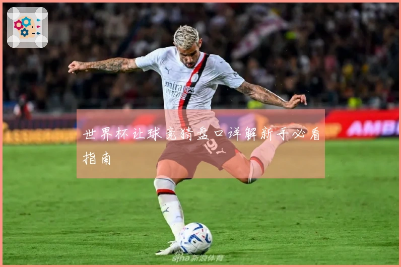世界杯让球竞猜盘口详解新手必看指南